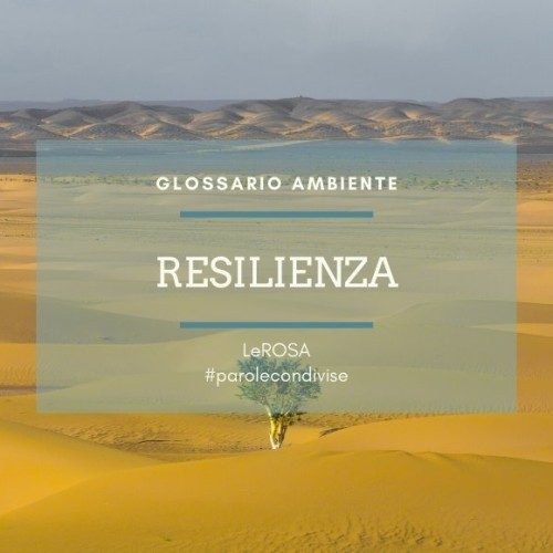 resilienza-glossario-ambiente