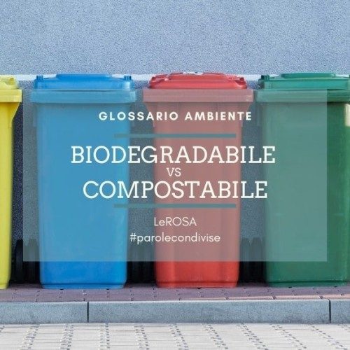 biodegradabile e compostabile