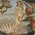 tutto su la nascita di venere di botticelli